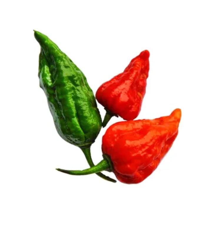 Bombay Chilli ( মুম্বাই মরিচ)