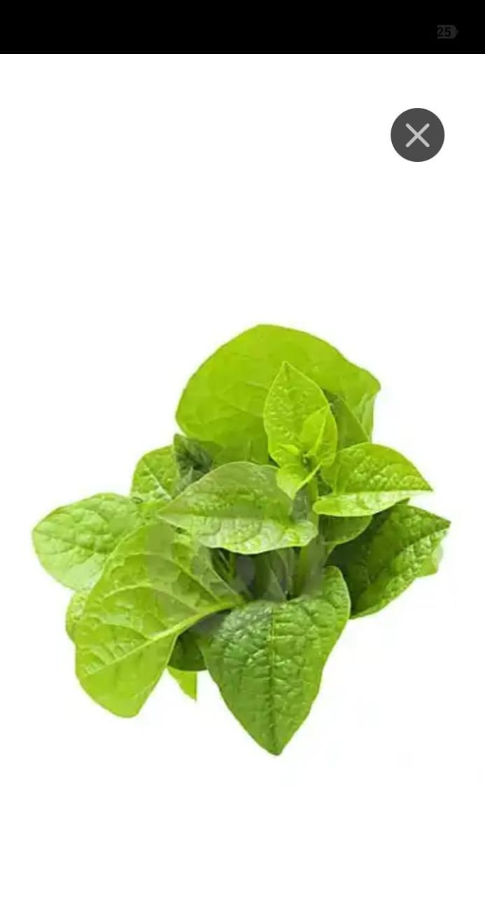 Qui branch ( কুই শাক)