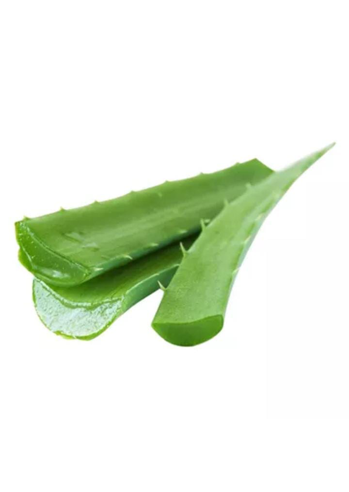 Aloe vera ( এল্যোবেরা)