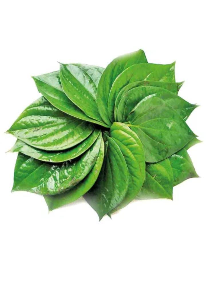 betel leaf ( পান (