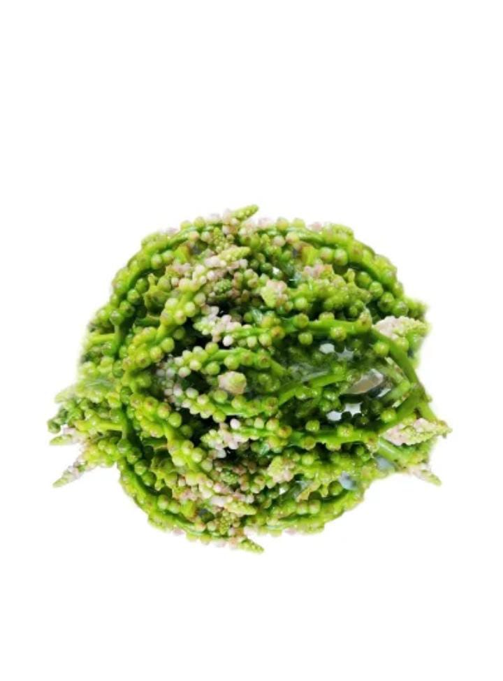 Raw vegetables ( কাঁচা সবজি)