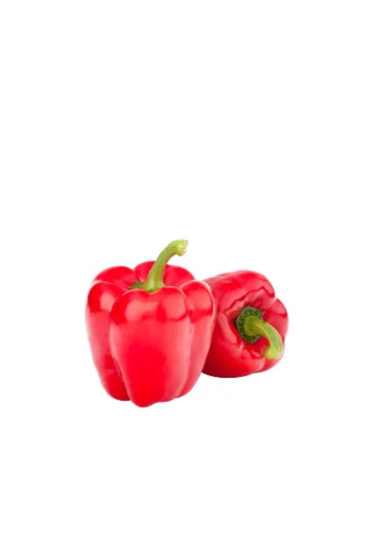 Read Capsicum( লাল ক্যাপসিকাম)